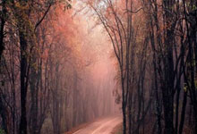 天涯社区十大神贴合集：重温网络文化黄金时代