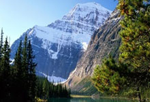 天涯房产观澜神贴分享：天涯论坛上的神龙马车