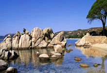 天涯社区十大神贴合集：重温网络文化黄金时代